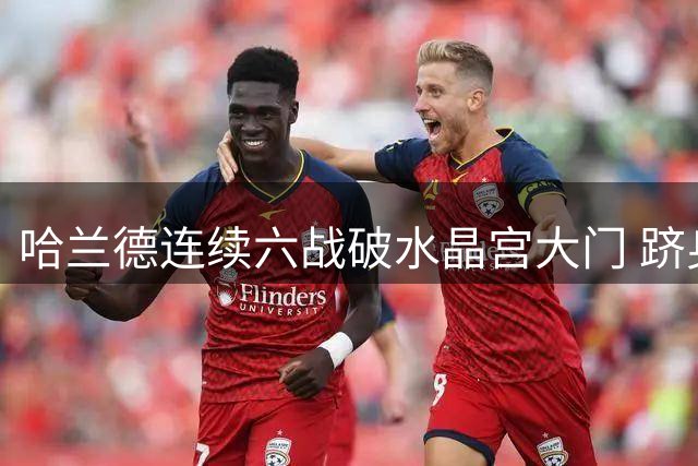 哈兰德连续六战破水晶宫大门 跻身英超历史第三